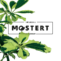 KwekerijMostert plant kmn potplant potplanten Sticker