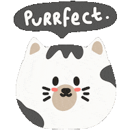 Cat Illustration Sticker by Demic