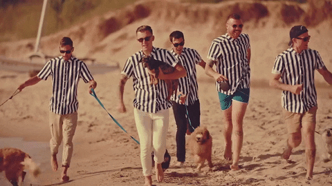 dogs puppies GIF by Pure Noise Records