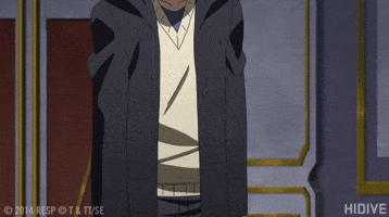 Akame Ga Kill Hidive Anime GIF by HIDIVE