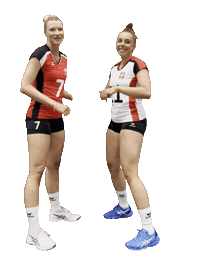 Swissvolley Sticker by NUCVolleyball
