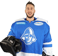tiposshl sport hockey goalie hokej Sticker