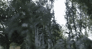 justice wisdom GIF by University of Georgia