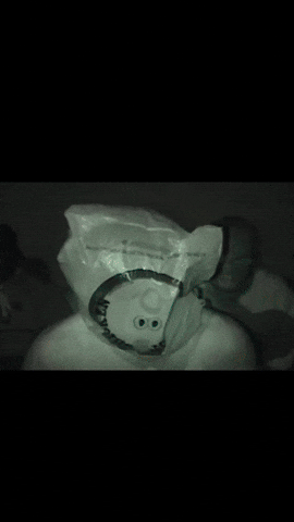 MaxisSocial giphyupload GIF