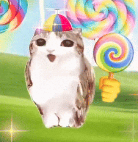 Cat Kitten GIF