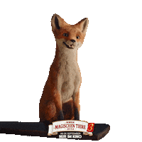 dsdmt-film freude kinofilm zustimmen die schule der magischen tiere Sticker