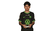 Wolfsburg Fabio Sticker by Bundesliga