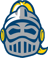 Happy Knight Sticker by Neumann University