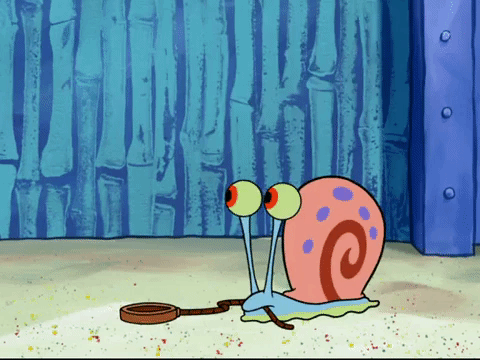 season 7 keep bikini bottom beautiful GIF by SpongeBob SquarePants