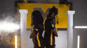 Tigers Missouri GIF by Mizzou Athletics