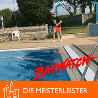 Pamela Anderson Lustaufhandwerk GIF by Die Meisterleister GmbH