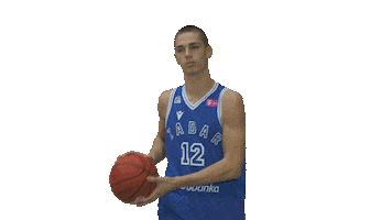 Basketball Hoops Sticker by KK Zadar