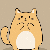 Cheering Up You Can Do It GIF by MESA My Emotional Support Animal