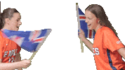 Iceland Swordfight Sticker by Carson-Newman Athletics