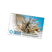 Marine Conservation Cots Sticker by Conservation Diver