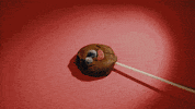 cuco sunnyside GIF