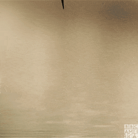 enchanted kingdom bird GIF by BBC America