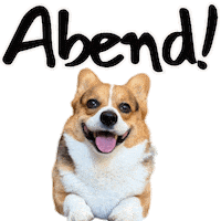 German Corgi Sticker