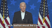 Joe Biden GIF by GIPHY News