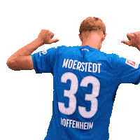 Sport Bundesliga Sticker by TSG Hoffenheim