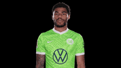Sport Reaction GIF by VfL Wolfsburg