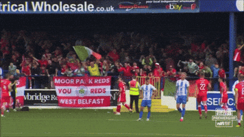 Red Army Celebration GIF by Cliftonville Football Club