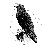 Stars Blinking Sticker