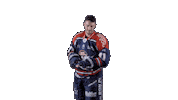 Ducs Dangers Hockey Sticker by Les Ducs d'Angers