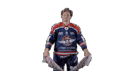 Ducs Dangers Hockey Sticker by Les Ducs d'Angers