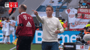 Football Reaction GIF by MolaTV
