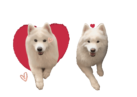 Dog Love Sticker