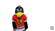 Chicago Blackhawks What GIF by NHL