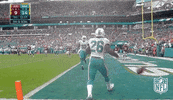 Miami Dolphins Football GIF by NFL