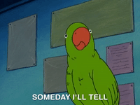 hey arnold nicksplat GIF