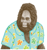 sunglasses paradise Sticker by Idea Distribution LLC