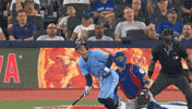 Home Run Baseball GIF by Toronto Blue Jays
