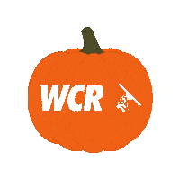 Wcr Windowcleaner Sticker by Window Cleaning Resource