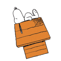 Halloween Peanuts Sticker by Harveys Seatbelt Bag