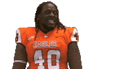 Head Shake Celebrating Sticker by Carson-Newman Athletics