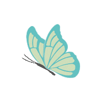 Piratoplast eb schmetterling epidermolysis bullosa piratoplast Sticker