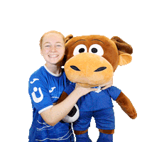 Hoffi Sticker by TSG Hoffenheim