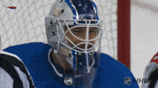 happy ice hockey GIF by NHL