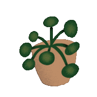 Plants Sticker