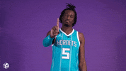 Basketball No GIF by Charlotte Hornets