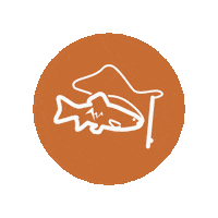 AdventurUsWomen fish fly fishing adventurus women adventuruswomen Sticker