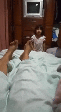 cuteanimalland giphyupload GIF