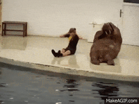abs flex GIF