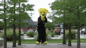 Wu_Shock ballin wu wsu threepointer GIF