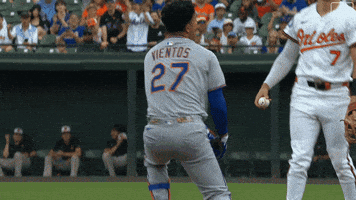 Celebration Baseball GIF by New York Mets