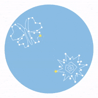 Clan Aga GIF by Asociación Guias Argentinas